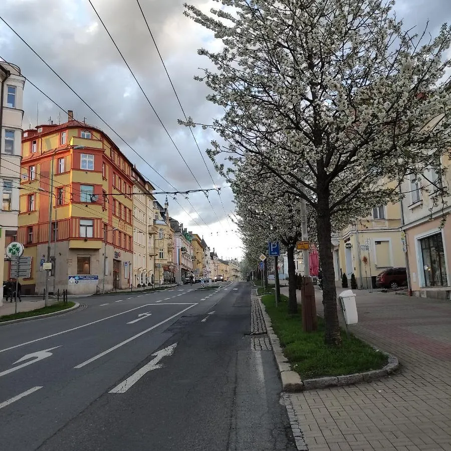 Apartman Friedrichsruh Apartment Marianske Lazne